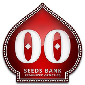 The Vault Seeds - 10% Off 00 Seed Bank Fem Seeds