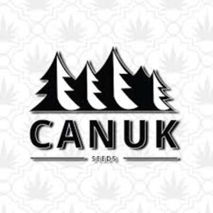 True North Seed Bank - 50% Off Canuk Seeds Strains at True North Seed Bank