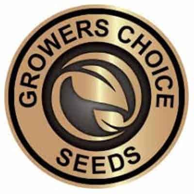 Growers Choice Seeds Logo