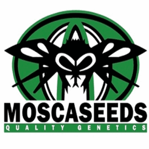 Seedsman - Free Mosca Seeds Promo at Seedsman