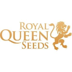 The Vault Seeds - 15% Off Royal Queen Autoflowering Seeds at The Vault Seedbank