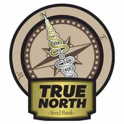 True North Seed Bank - Newsletter Free Seeds Competition