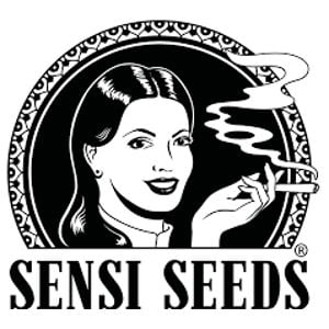 Sensi Seeds - Free Sensi Seeds Shipping