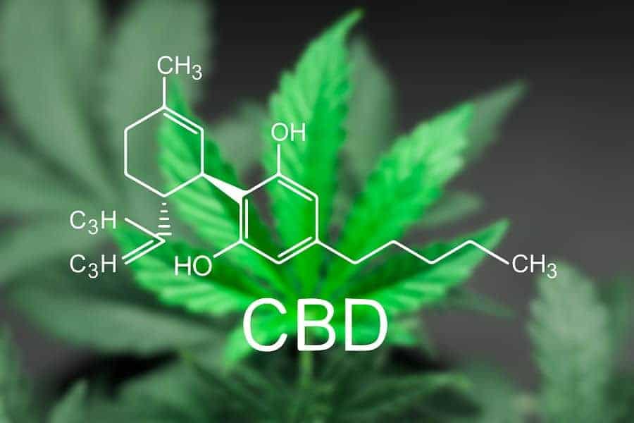 Studies that highlight the effects of CBD