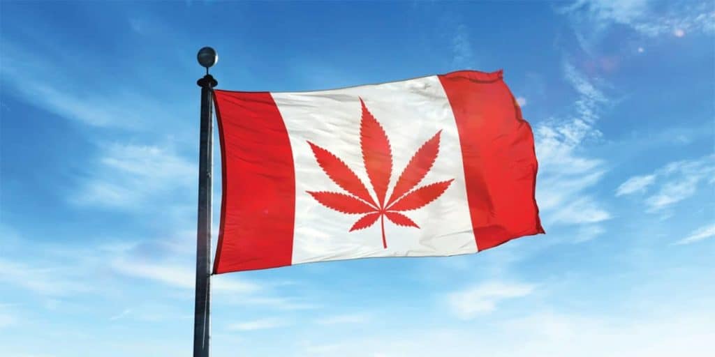 Cost of Canadian Cannabis