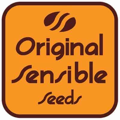 Original Sensible Seeds Logo
