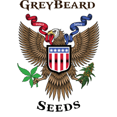Greybeard Seeds Logo