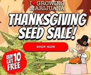 I Love Growing Marijuana - Buy 10 Get 10 Free Black Friday Seed Sale