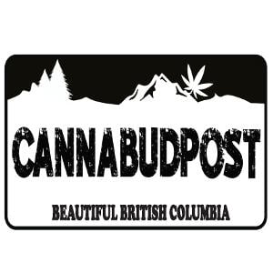 CannabudPost Logo