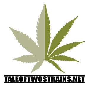Tale of Two Strains - Tale of Two Strains Refer a Friend