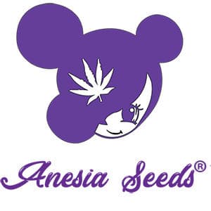Anesia Seeds - Anesia Seeds Free Shipping