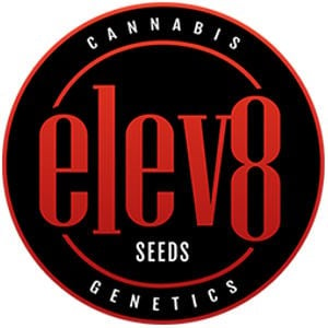 Elev8 Seeds - 15% Elev8 Seeds Coupon Code