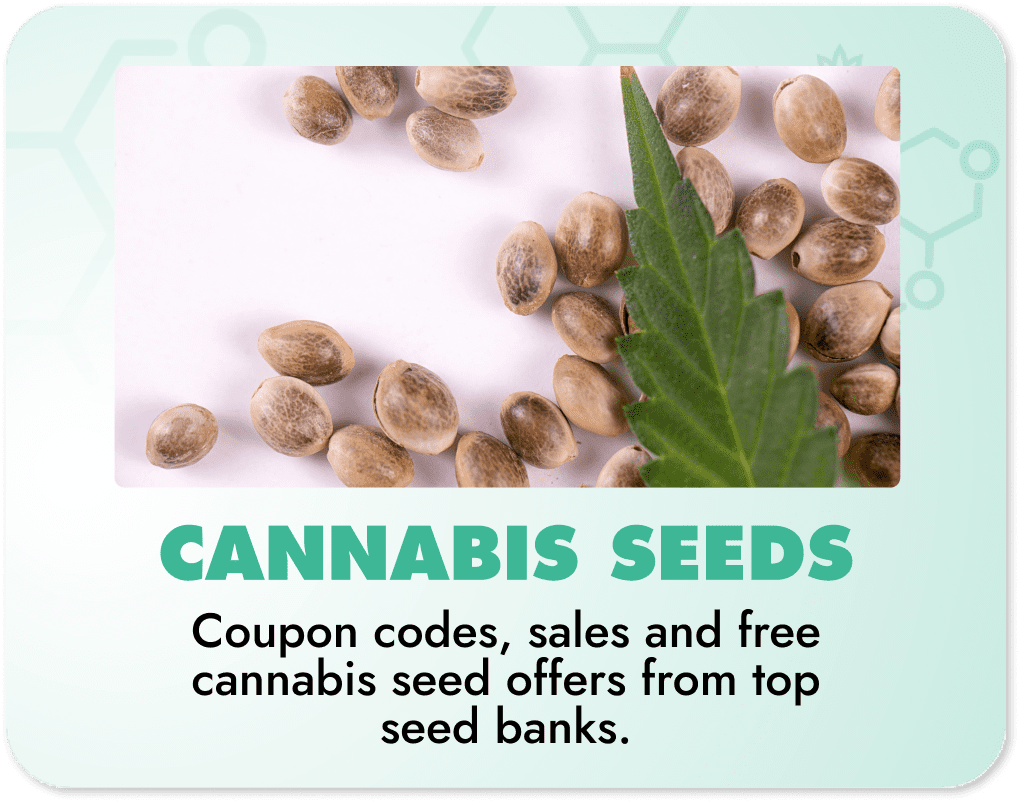 Cannabis Seeds Coupon Category Banner - Image includes seeds and the edge of a cannabis leaf
