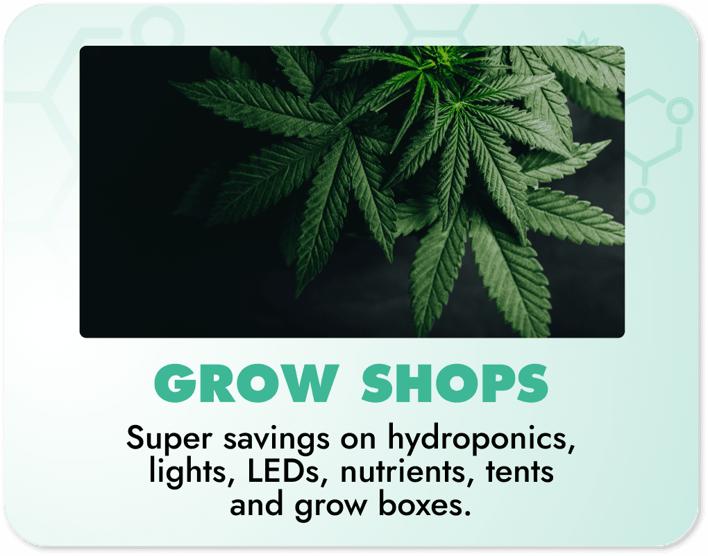 Grow Shops Coupons Category Banner - Image of deep clean cannabis leaves on black background