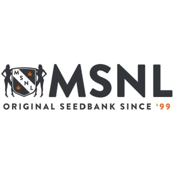 Marijuana Seeds NL Logo