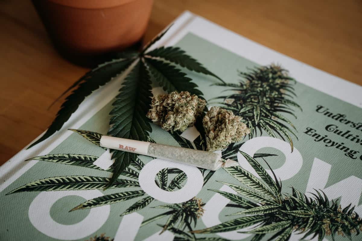 Cannabis Flowers and Joint