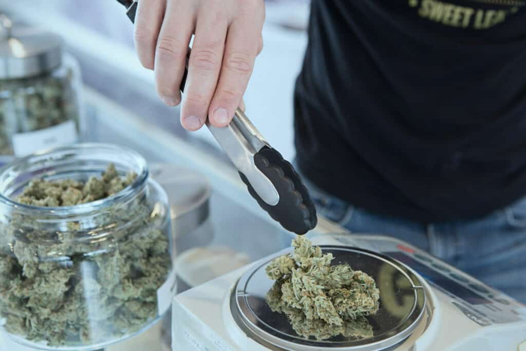 Weighing Cannabis Buds