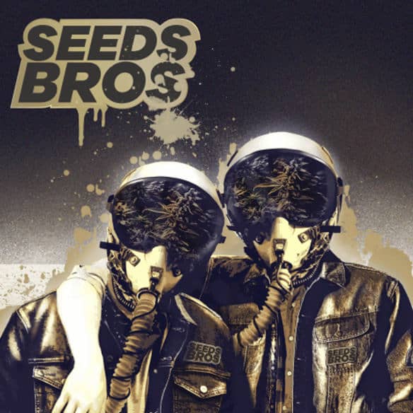 SeedsBros Logo