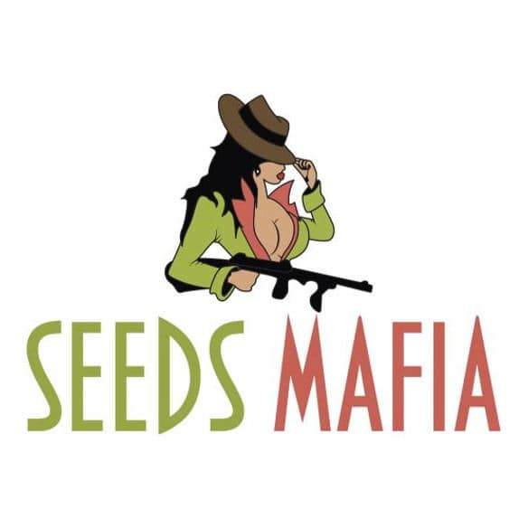 Seeds Mafia Logo