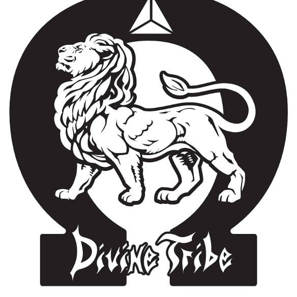 Divine Tribe Coupon Codes (July 2024)