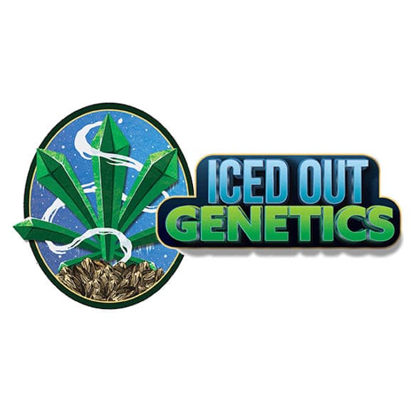 15% Iced Out Genetics Coupon at Iced Out Genetics