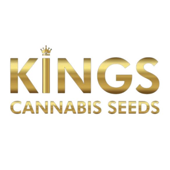 Kings Seed Bank Logo